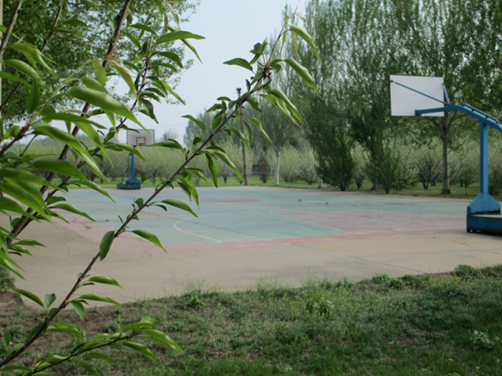 NxFPgEhG8a/imgs/20210603/f88f7fb03e464b271553c92e78bf2fcf.png NxFPgEhG8a/imgs/20210603/f88f7fb03e464b271553c92e78bf2fcf.png